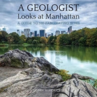 Kniha Geologist Looks at Manhattan Sidney Horenstein