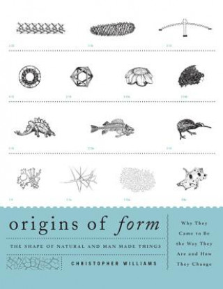 Книга Origins of Form Christopher Williams