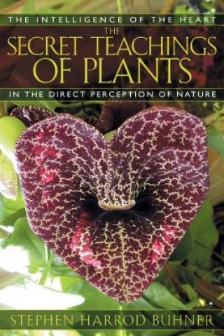 Kniha Secret Teachings of Plants Stephen Harrod Buhner