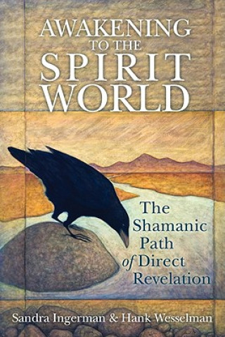 Könyv Awakening to the Spirit World Sandra Ingerman
