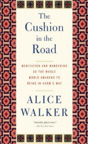 Kniha Cushion In The Road Alice Walker