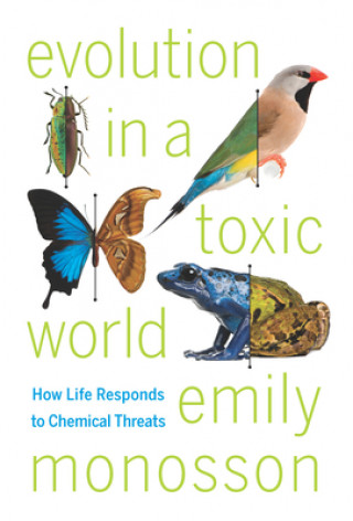 Kniha Evolution in a Toxic World Emily Monosson