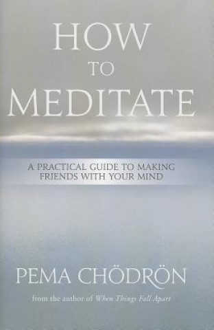 Книга How to Meditate Pema Chödrön