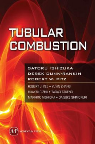Kniha Tubular Combustion Satoru Ishizuka