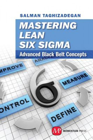 Kniha Mastering Lean Six Sigma Black Belt Salman Taghizadegan