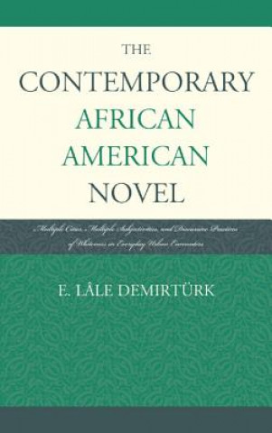 Carte Contemporary African American Novel Emine Lale Demirturk