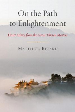 Kniha On the Path to Enlightenment Ricard Matthieu