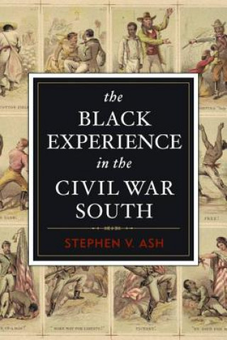 Książka Black Experience in the Civil War South Stephen Ash