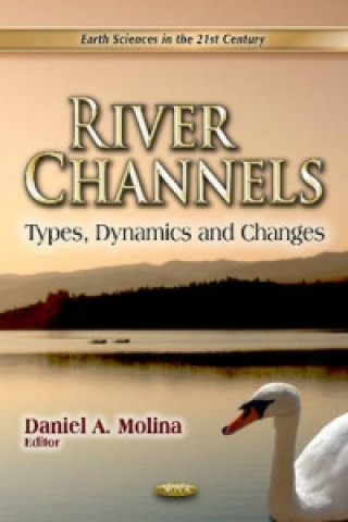 Carte River Channels Daniel A Molina