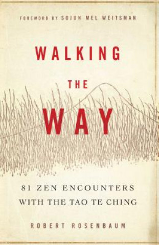 Kniha Walking the Way Robert Rosenbaum