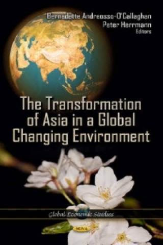 Kniha Transformation of Asia in a Global Changing Environment Bernadette Andreosso