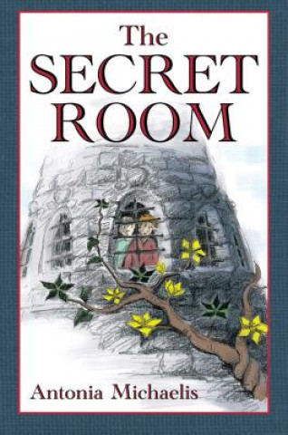 Knjiga Secret Room Antonia Michaelis