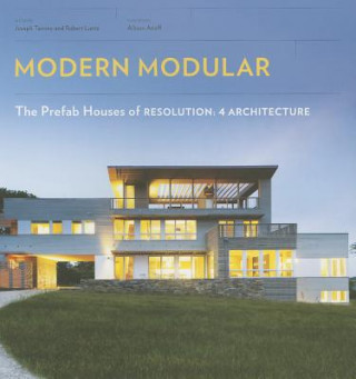 Könyv Modern Modular Robert Luntz