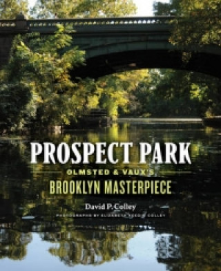 Knjiga Prospect Park David P Colley