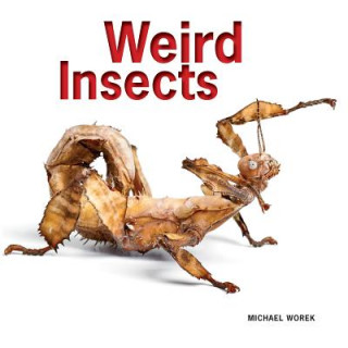 Книга Weird Insects Michael Worek