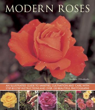 Kniha Modern Roses Andrew Mikolajski