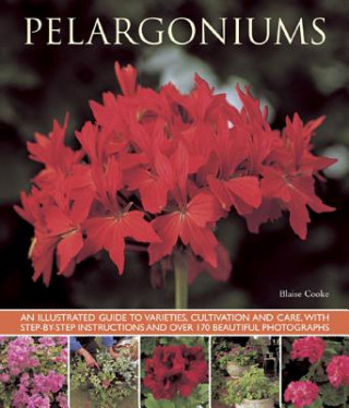 Kniha Pelargoniums Blaise Cooke