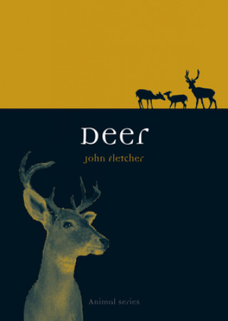 Könyv Deer John Fletcher