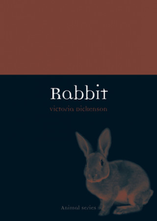 Kniha Rabbit Victoria Dickenson