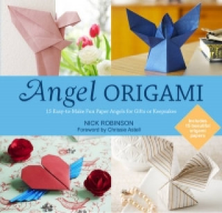 Kniha Angel Origami Nick Robinson