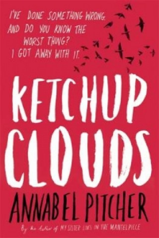 Kniha Ketchup Clouds Annabel Pitcher