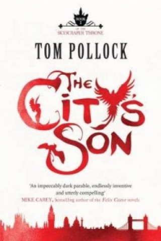 Könyv City's Son Tom Pollock