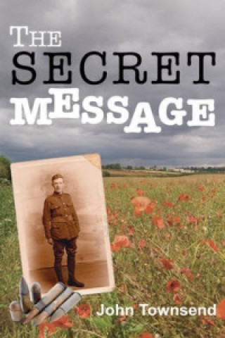Kniha Secret Message John Townsend