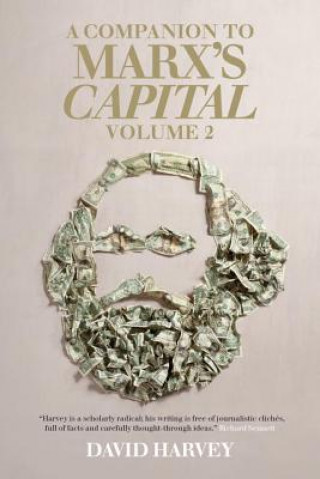 Kniha Companion to Marx's Capital, Volume 2 David Harvey