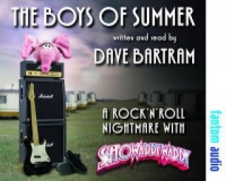 Audio Boys of Summer Dave Bartram