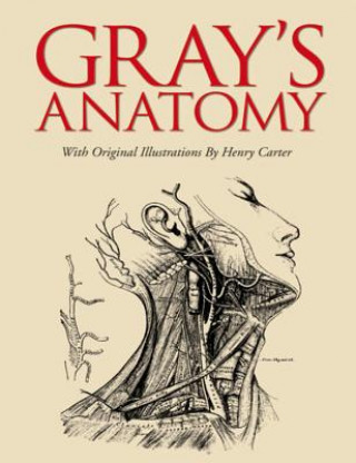 Book Grays Anatomy Henry Gray