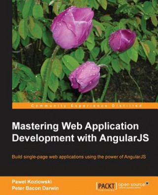 Könyv Mastering Web Application Development with AngularJS P Darwin