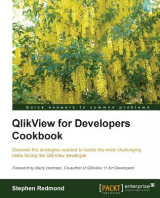 Kniha QlikView for Developers Cookbook Stephen Redmond