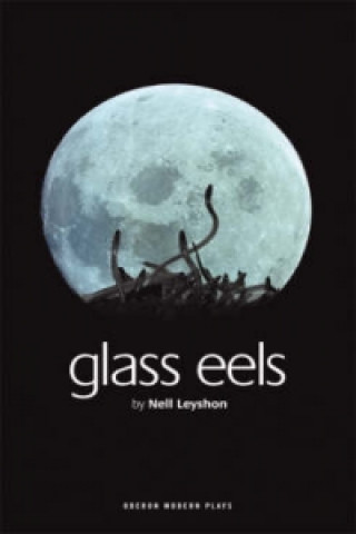 Kniha Glass Eels Nell Leyshon