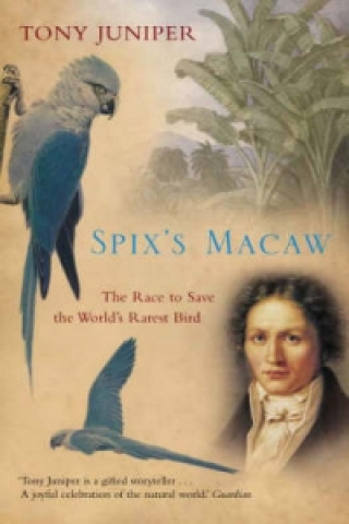 Książka Spix's Macaw Tony Juniper