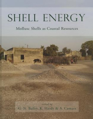 Könyv Shell Energy G Bailey