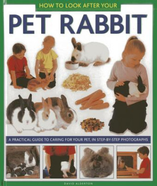Könyv How to Look After Your Pet Rabbit David Alderton
