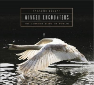 Knjiga Winged Encounters Raymond Beggan