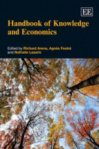 Kniha Handbook of Knowledge and Economics Richard Arena