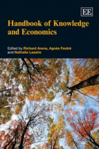 Książka Handbook of Knowledge and Economics Richard Arena