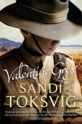 Kniha Valentine Grey Sandi Toksvig