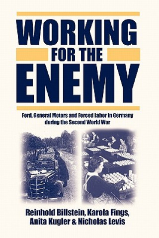 Könyv Working for the Enemy Levis Billstein