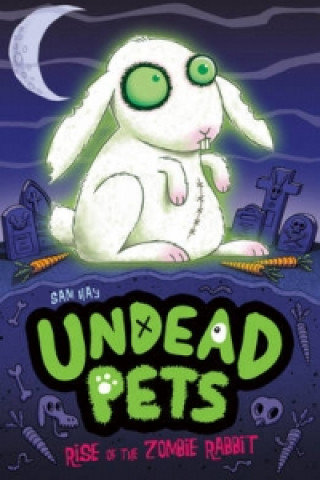 Könyv Rise of the Zombie Rabbit Sam Hay