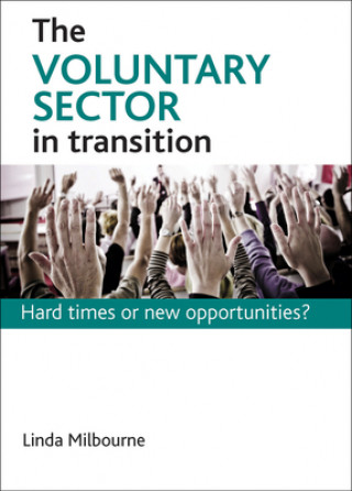 Kniha Voluntary Sector in Transition Linda Milbourne