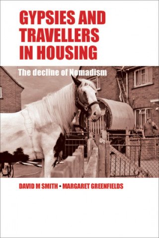 Kniha Gypsies and Travellers in Housing David M Smith