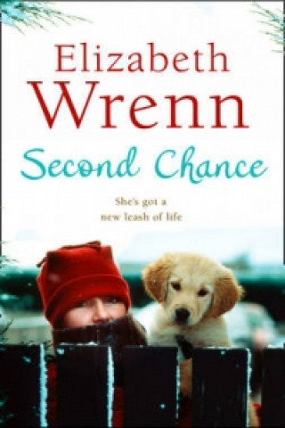 Knjiga Second Chance Elizabeth Wrenn