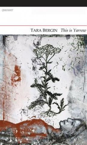 Livre This is Yarrow Tara Bergin