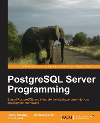 Könyv PostgreSQL Server Programming H Krosing