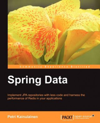 Könyv Spring Data Petri Kainulainen