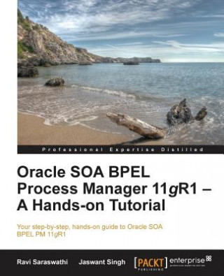 Könyv Oracle SOA BPEL Process Manager 11gR1 - A Hands-on Tutorial M Vucetic