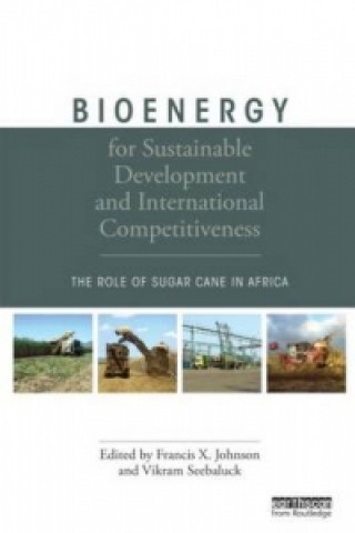 Carte Bioenergy for Sustainable Development and International Competitiveness Francis X Johnson